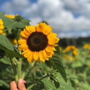 Meet your Posher, Kelsey